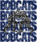 bobcats basketball(3)