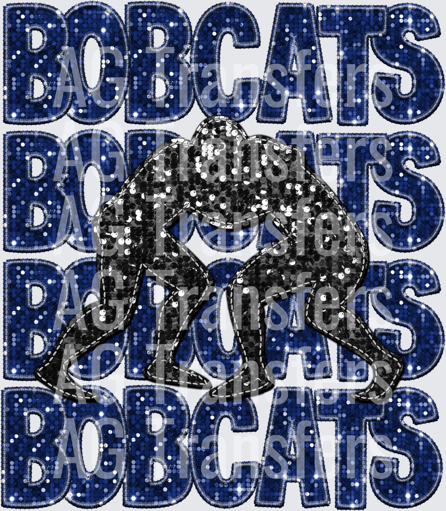 bobcats basketball(3)