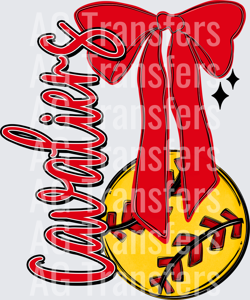 CAVALIERS(70)