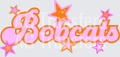 BOBCATS(162)
