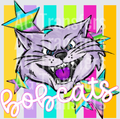 bobcats(345)