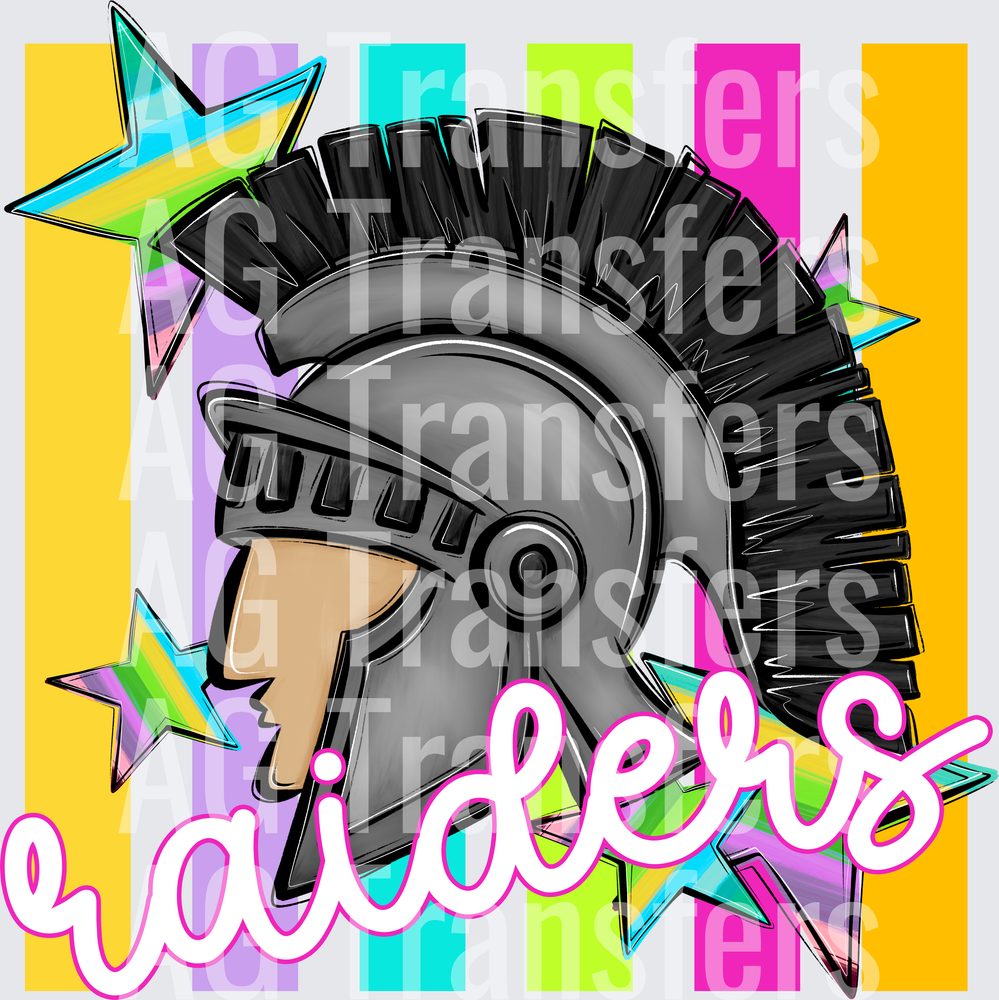 RAIDERS(290)
