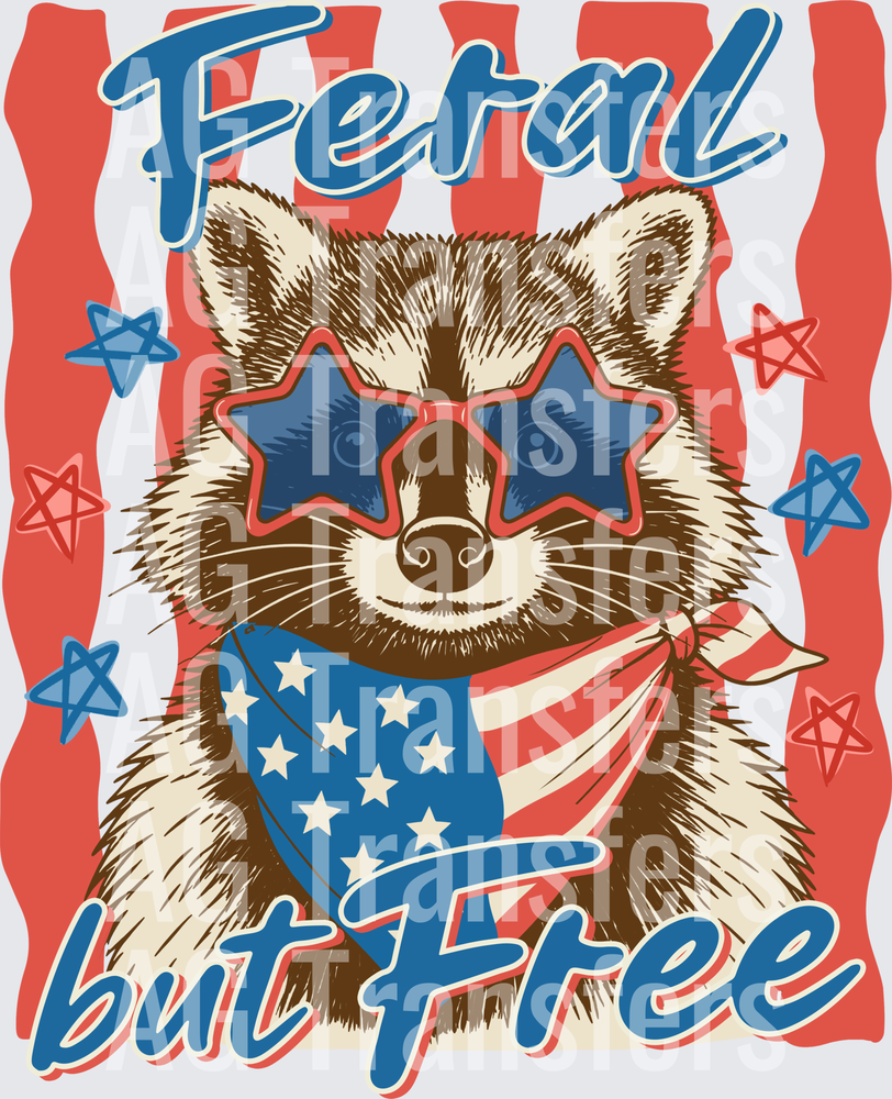 Feral but Free Raccoon