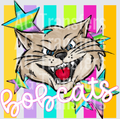 BOBCATS(308)