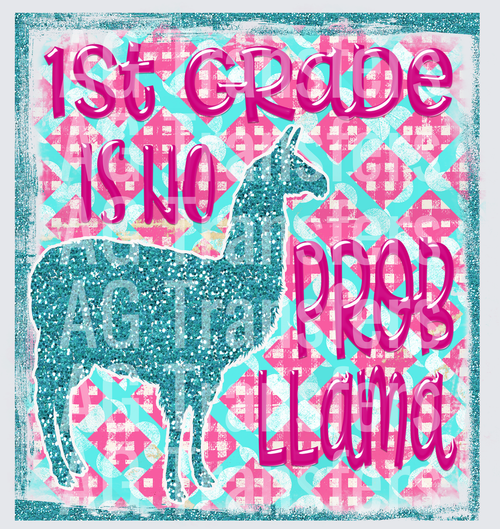 1st Grade is No Probllama