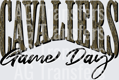 cavaliers(20)