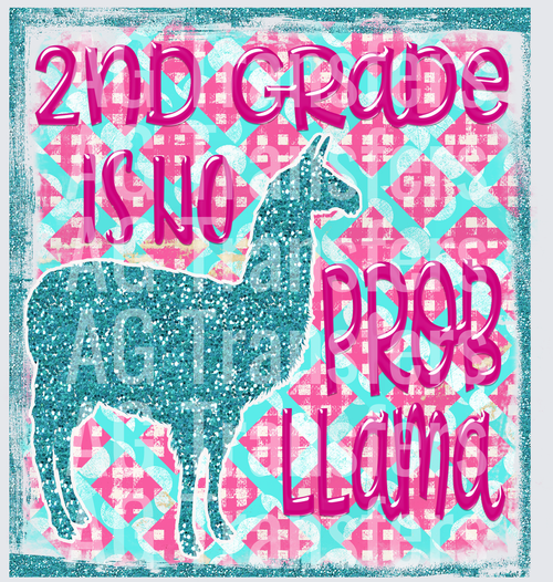2nd Grade is No Probllama