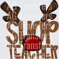 SHOP TEACHER