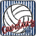 CAVALIERS(60)