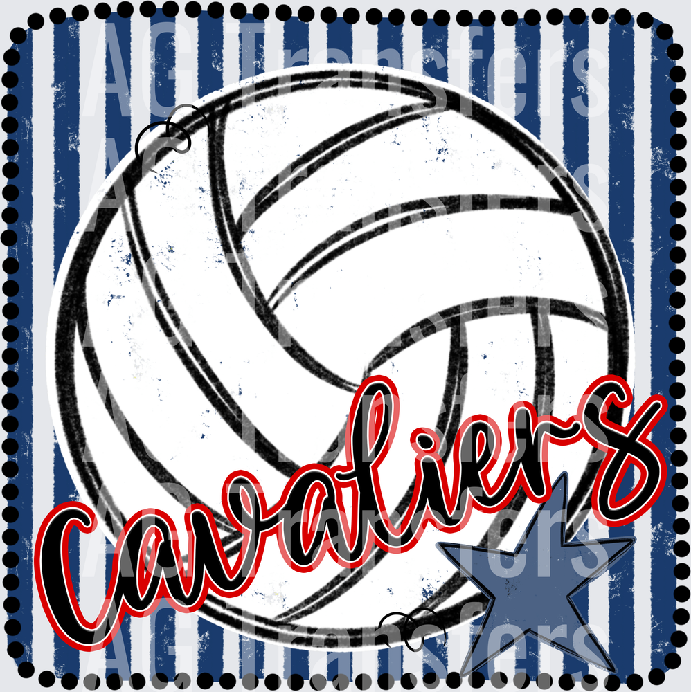 CAVALIERS(60)