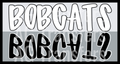 BOBCATS(23)