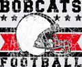 Bobcats(5)