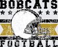 Bobcats(341)
