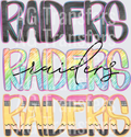 raiders(84)