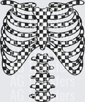 Checkered skeleton front