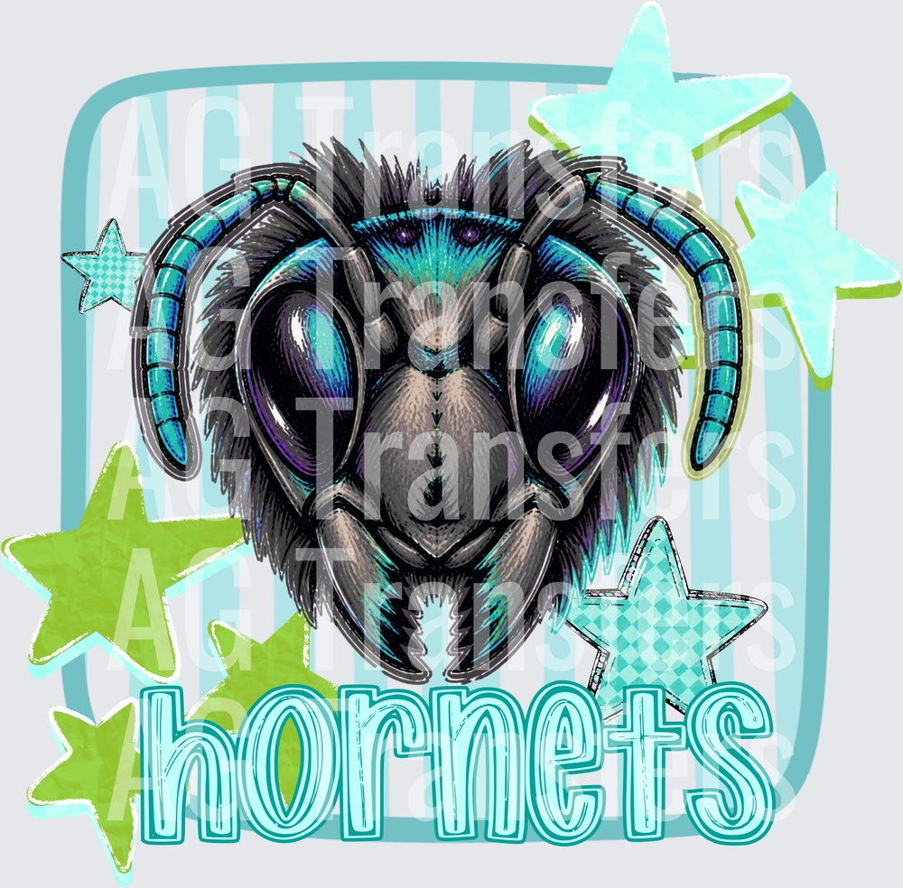 HORNETS