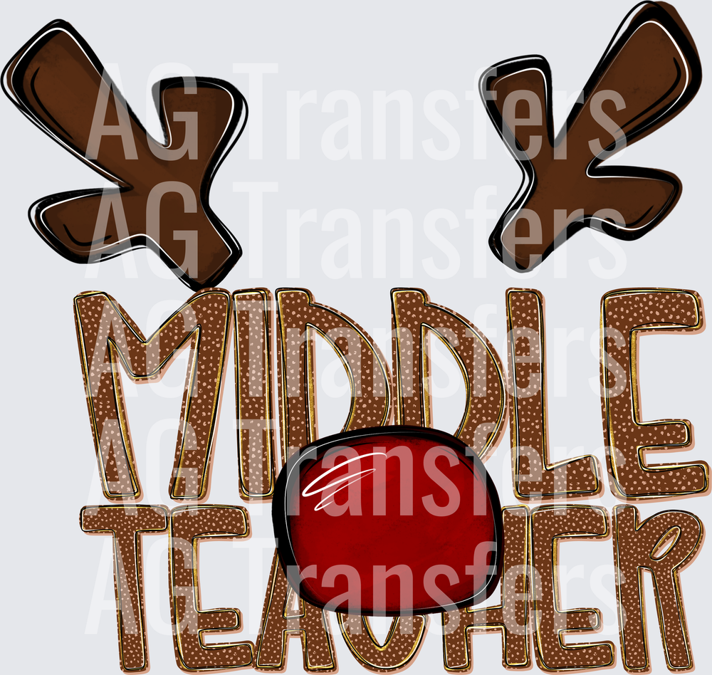 MIDDLE TEACHER