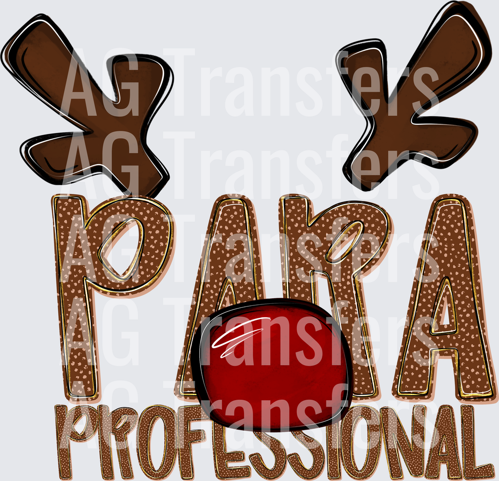 PARA-PROFESSIONAL