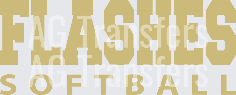 Johnsonville Flashes 41