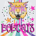 BOBCATS(301)