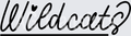 Hand Lettered Wildcats 2