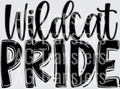 Starry Pride WILDCAT BLACK SILVER