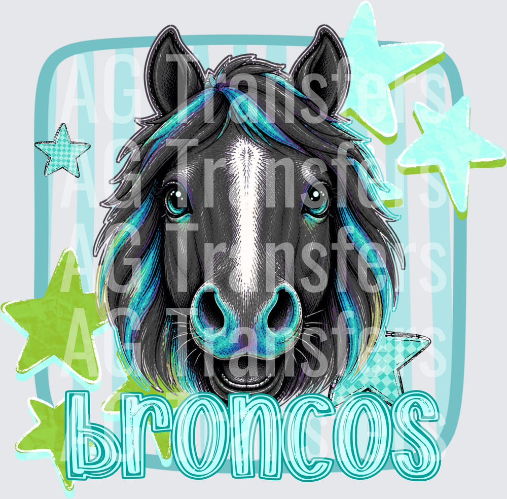 BRONCOS