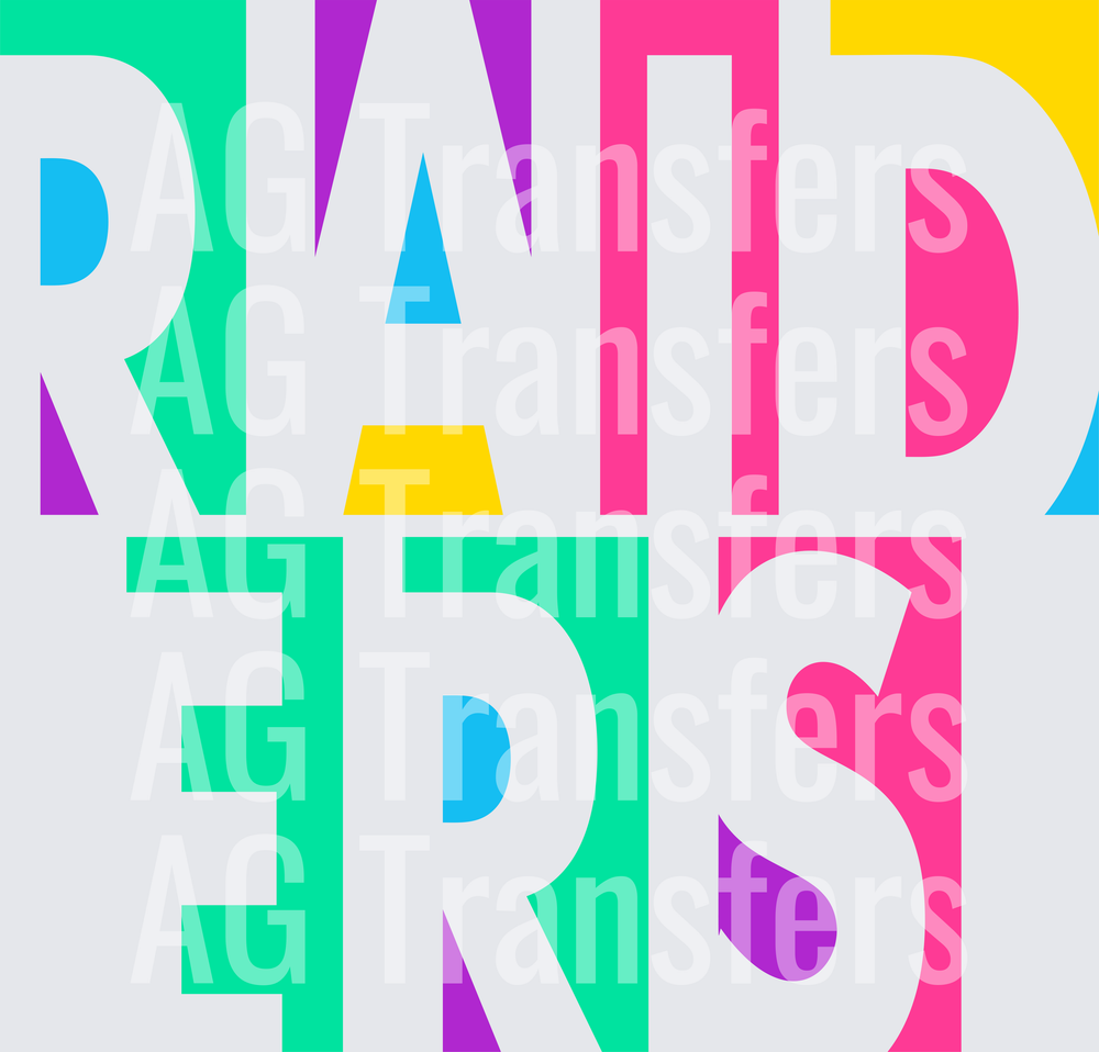 RAIDERS(101)