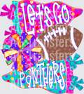 Let’s go Panthers preppy pennant flag