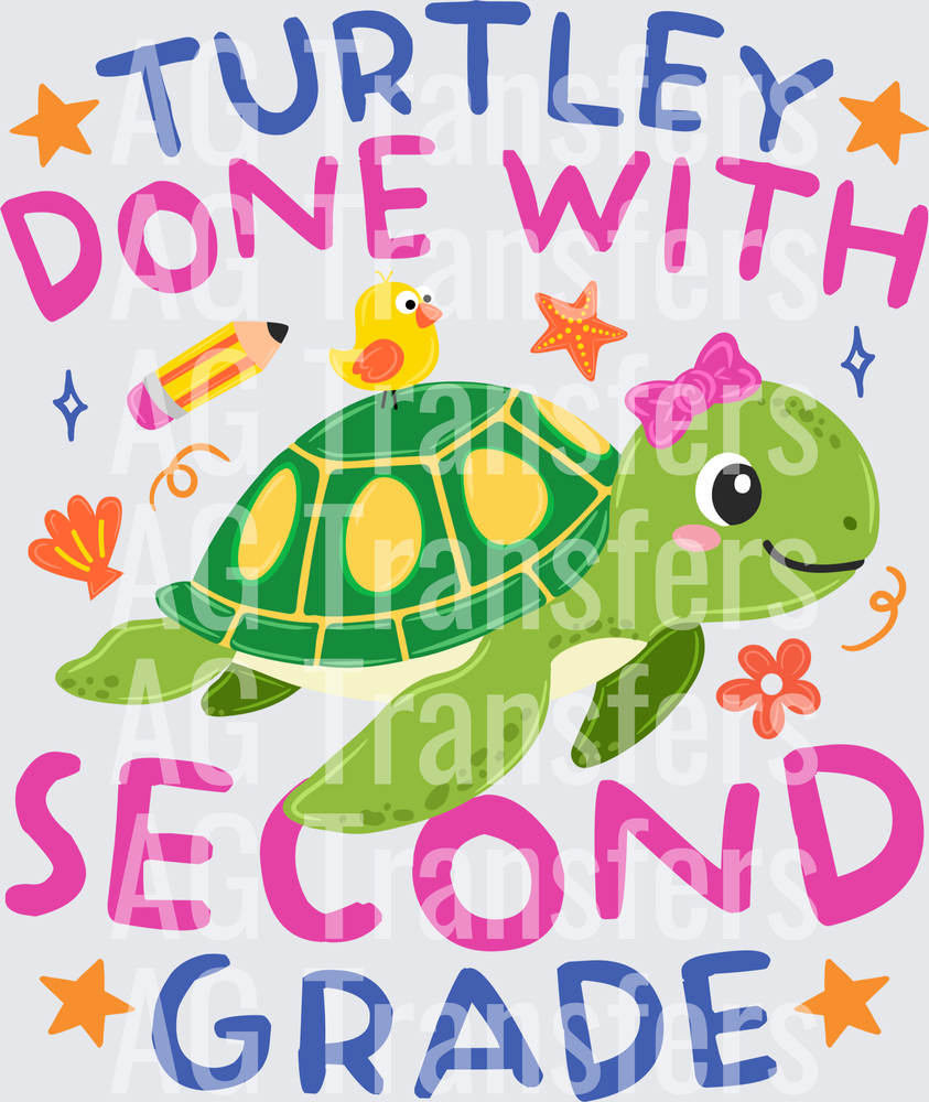 Turtle Second Grade