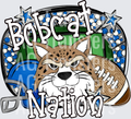 BOBCAT(10)