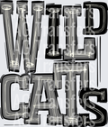 Wildcats Black Silver Gray