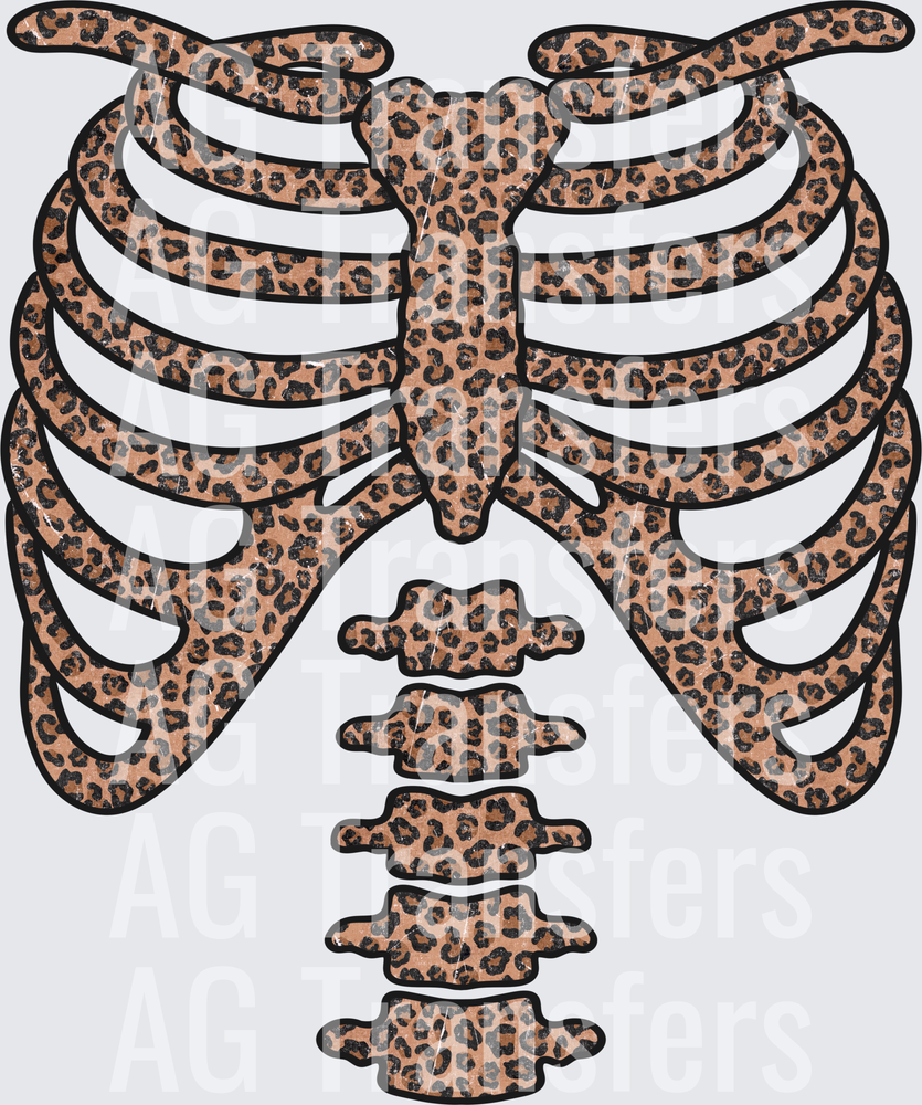 Cheetah skeleton front