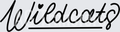 Hand Lettered Wildcats