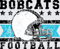 Bobcats(562)