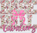 CAVALIERS(20)