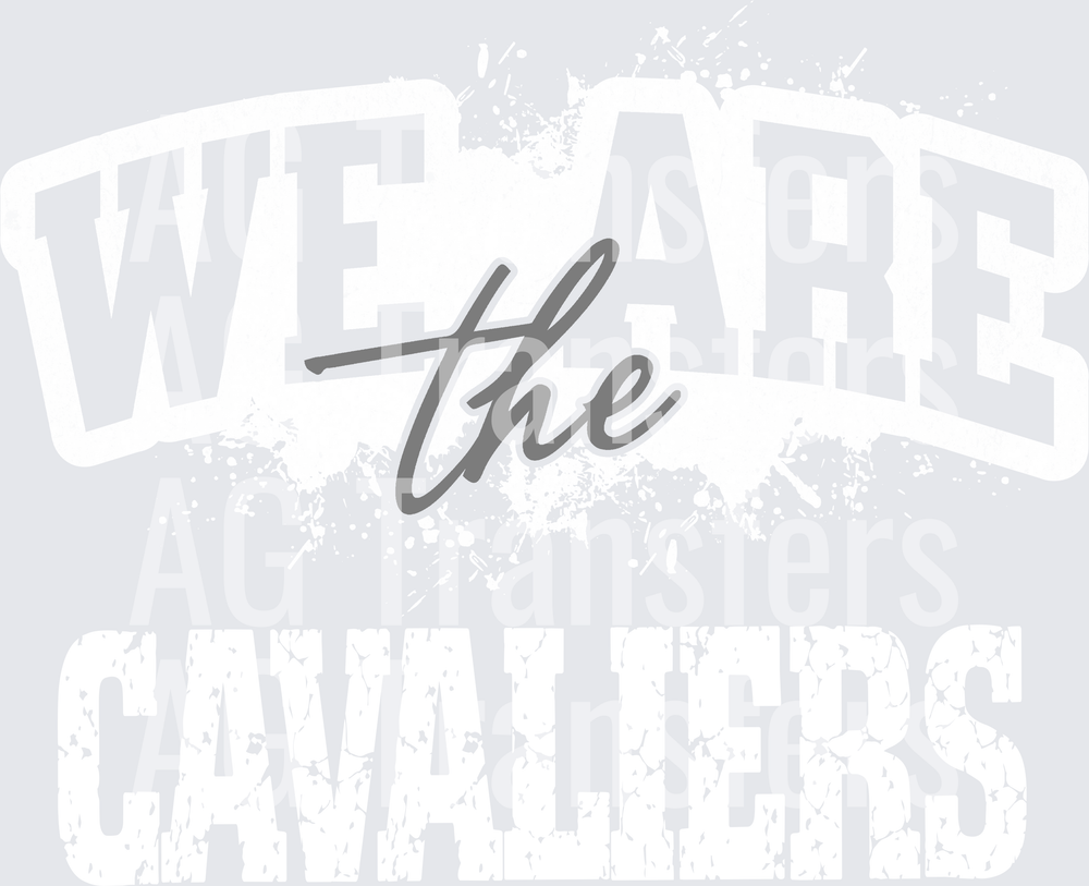 CAVALIERS(17)