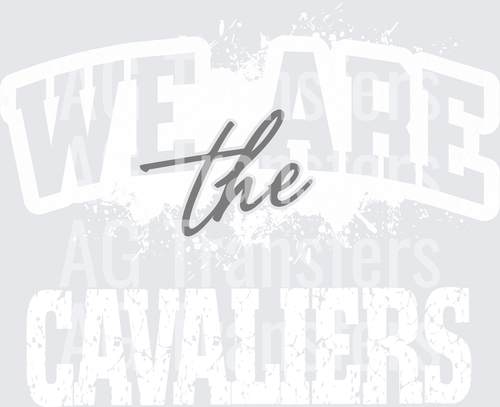 CAVALIERS(17)