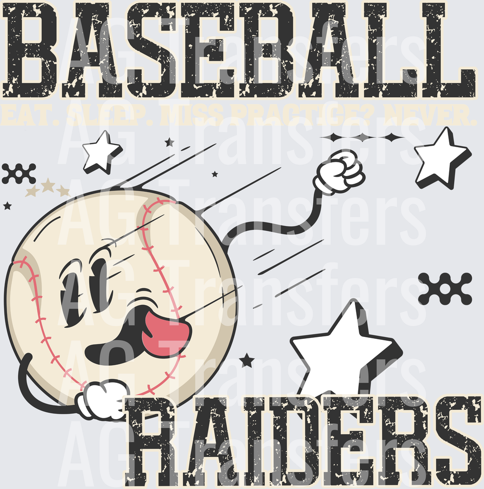 Raiders(234)
