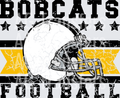 Bobcats(195)