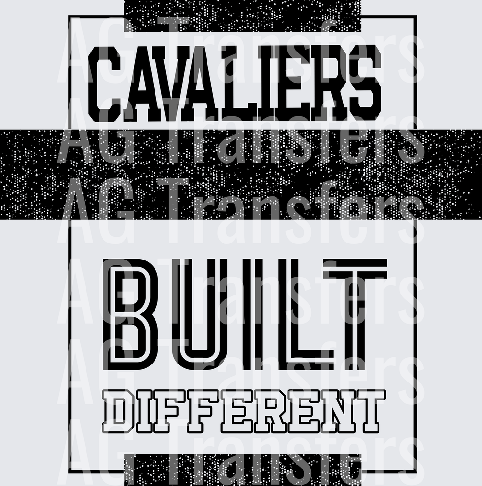 CAVALIERS(27)