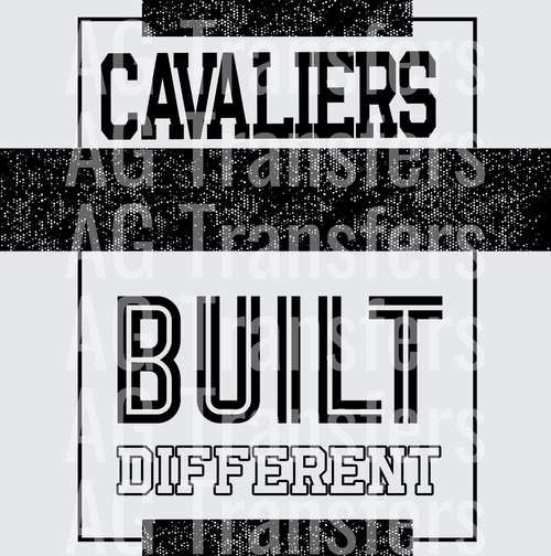 CAVALIERS(27)