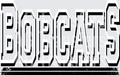 Bobcats(117)