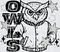 OWLS(31)