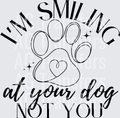 IM SMILING AT YOUR DOG NOT YOU