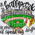AT THE BALLPARK IS WHERE I SPEND MY DAYS MIXED BALLS