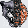 bobcats basketball(1)