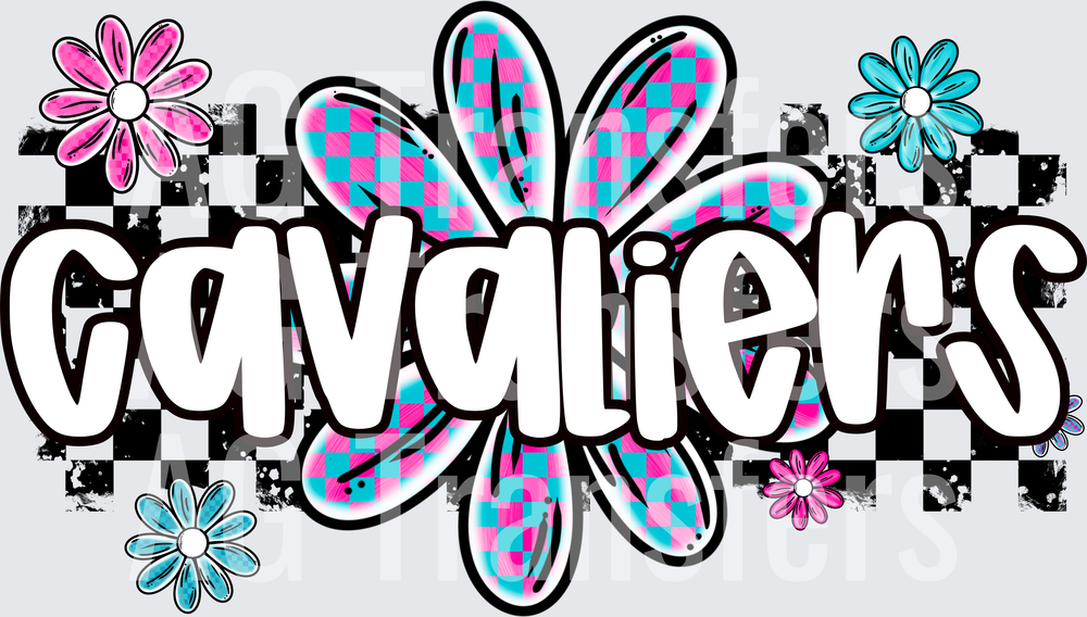 CAVALIERS(23)