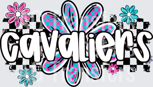 CAVALIERS(23)