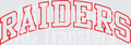 Raiders 8